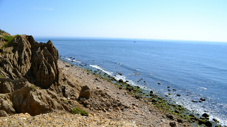 View of the bluffs at Camp Hero State Park