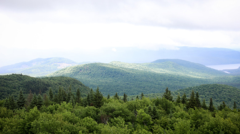 Tree-lined landscape against mountains in Saratoga County