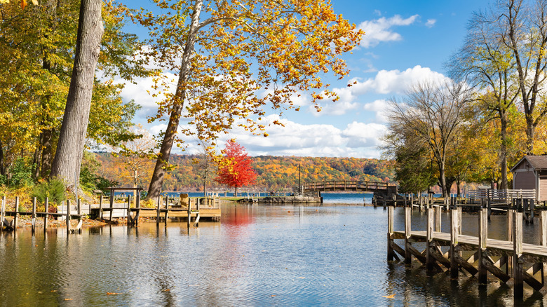 Calm part of the Finger Lakes in Ulysses, New York with wooden docks and small bridge in the background during the day.