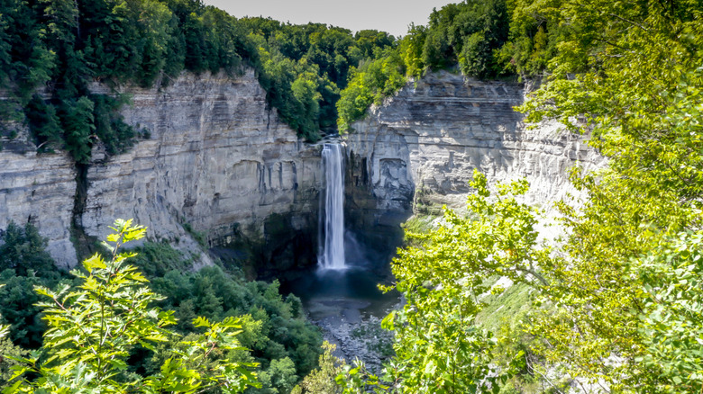View of Taughannock Falls in the Taughannock Falls State Park near Ulysses, New York during the day.