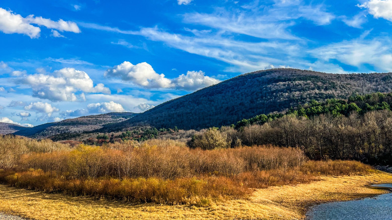 A tall tree-covered hill and blue skies in early spring with a bit of water of the Pepacton Reservoir visible