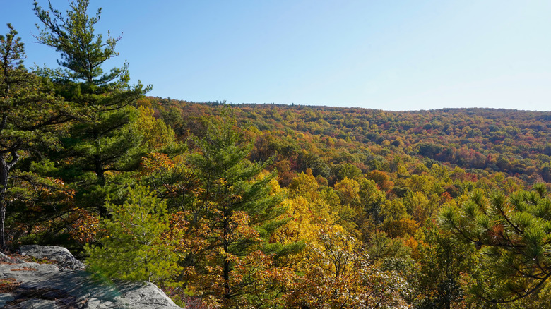 View of Shawangunk Ridge