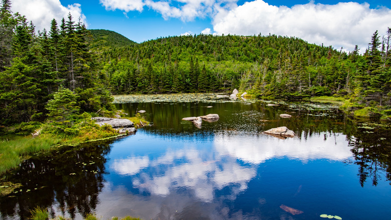 Clouds and blue sky are reflected on Lake Tear of the Clouds in the Adirondack Mountains