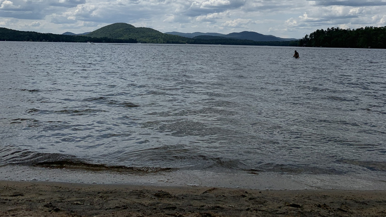 A lone swimmer n the water at How to camp at Moffitt Beach Campground