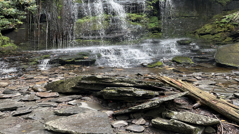 A waterfall in the woods, Monticello, NY