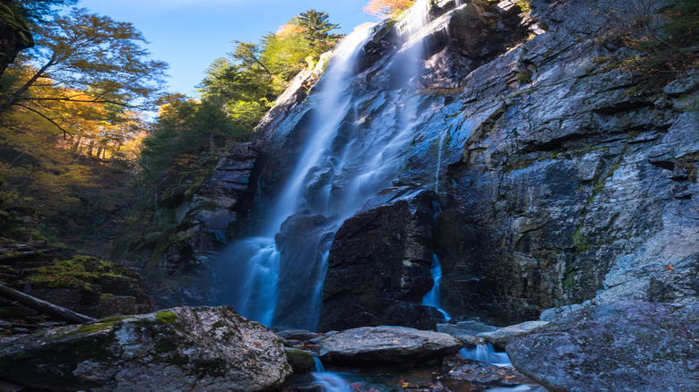 Water cascading over rocks and trees at Rainbow Falls on the Indian Head Trail.