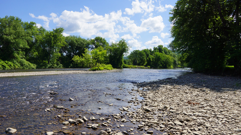 A portion of the Susquehanna River in Oneonta, New York