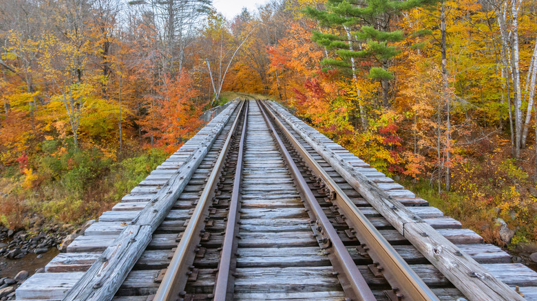 A railroad track through fall foliage in the Adirondacks