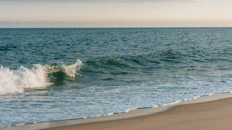 Waves along the shore in Hither Hills State Park