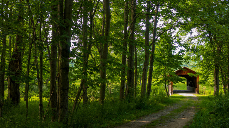 Hyde Hall Covered Bridge in Glimmerlgass State Park on Otsego Lake