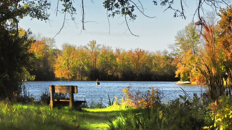 Bench in park looking out onto Onondaga Lake