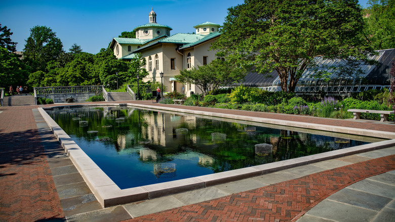 A view of the Brooklyn Botanic Garden's Lily Pool Terrace, near the Yellow Magnolia Café