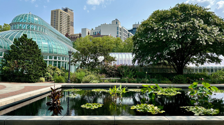 A pond and conservatory at the Brooklyn Botanic Garden