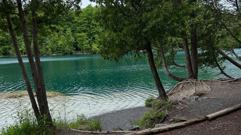 Trail and trees beside blue lake