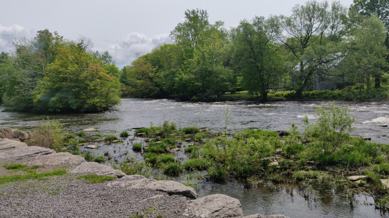 The Salmon River in Pulasaki, New York
