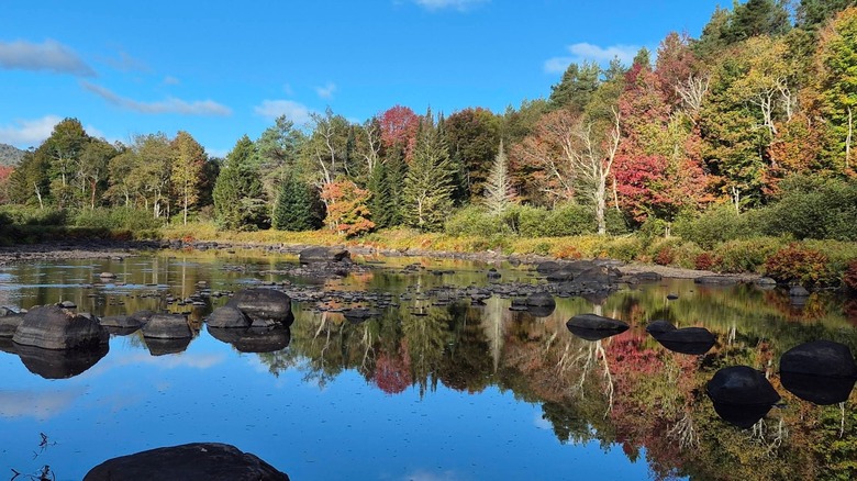 Silver Lake Wilderness in the fall