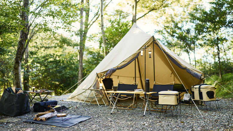 Tent, chairs, and camping supplies at clearing in woods