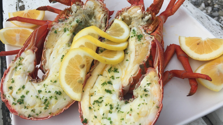 Plate of crayfish in Kaikoura, New Zealand