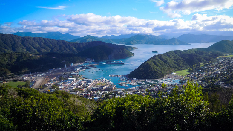 Aerial view of coastal town with small marina surrounded by mountains, Picton