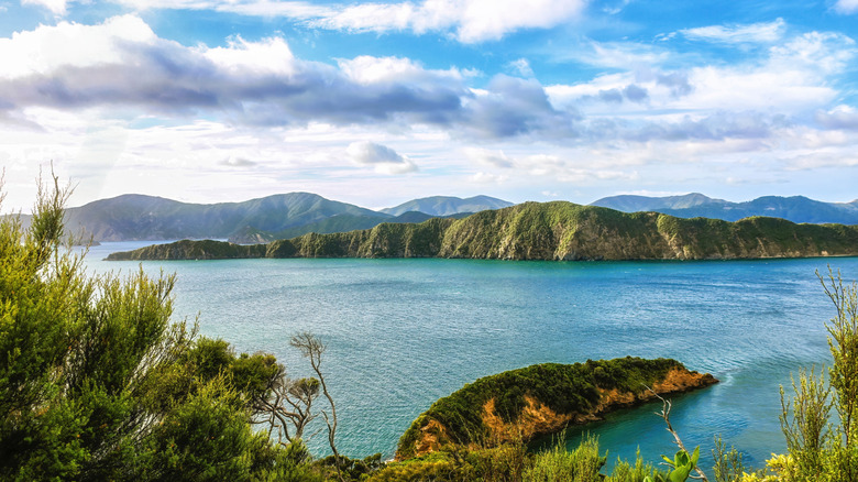 Lush green hills and valleys peaking out of the sea in Picton, New Zealand