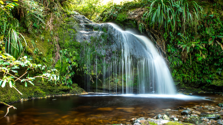 Waterfall at Whiskey Gully, near Tapanui