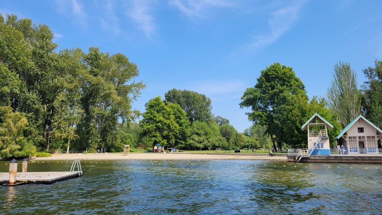 Huts, and a small beach, on the shoreline at Newcastle Beach Park in Bellevue.