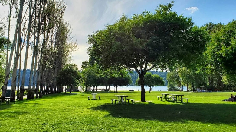 A grassy field, picnic tables, and trees at Newcastle Beach Park.