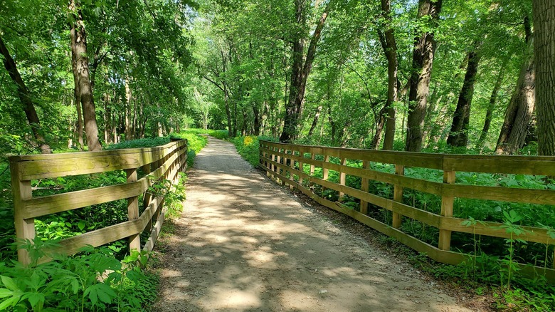 Tree-lined path along the Rivergreenway Trail in Decatur, Indiana