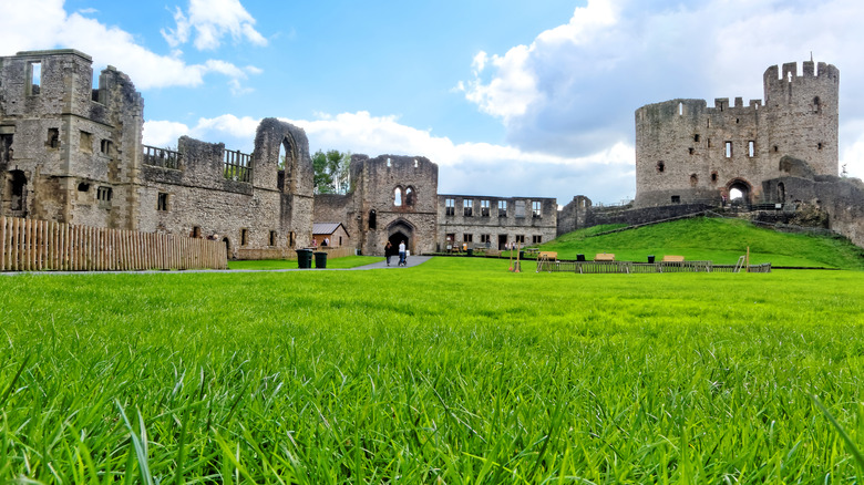 View of the ruins of Dudley Castle, surrounded by greenery
