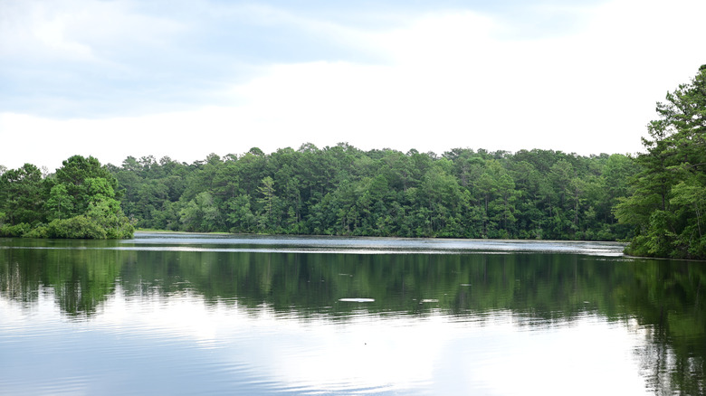 Sesquicentennial State Park in Columbia, South Carolina