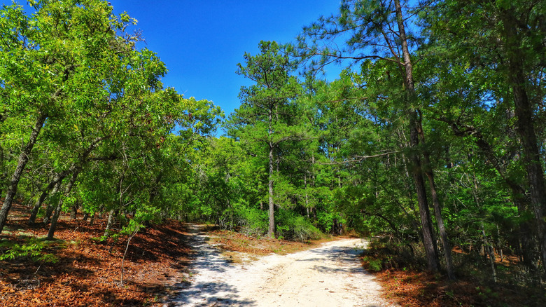 Trailhead at Sesquicentennial State Park in Columbia, South Carolina