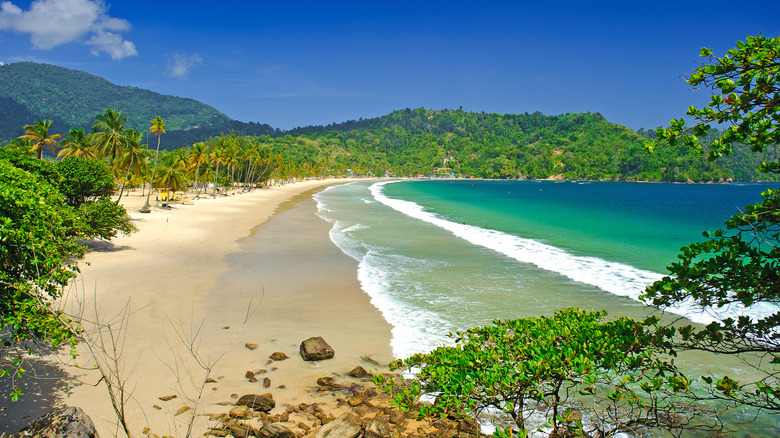 Aerial view of Maracas Bay in Port of Spain