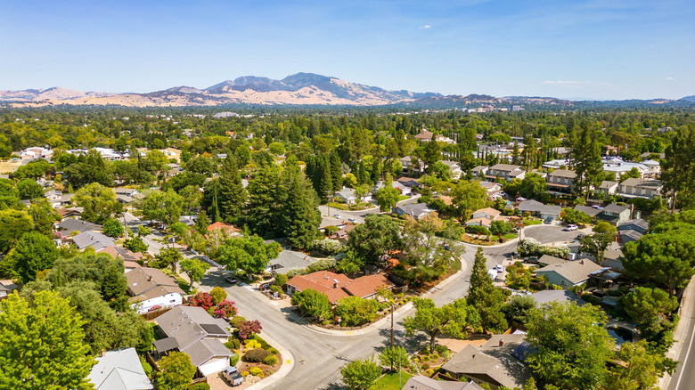 A neighborhood in Pleasant Hill, California, with lush green trees and and Mt. Diablo in the background