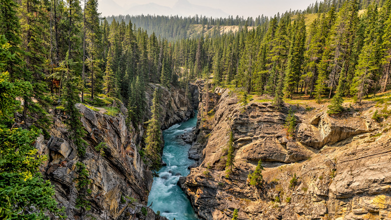 Mountain landscape in the Nordegg region of Alberta