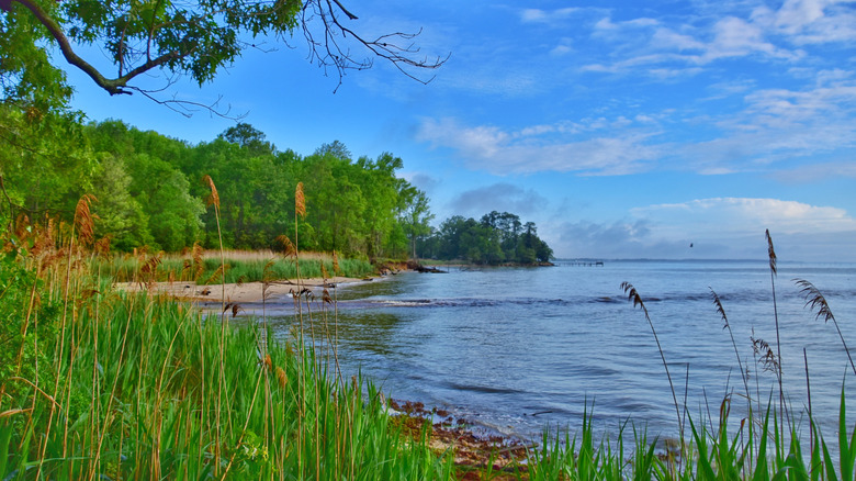 A scenic view of the Chesapeake Bay