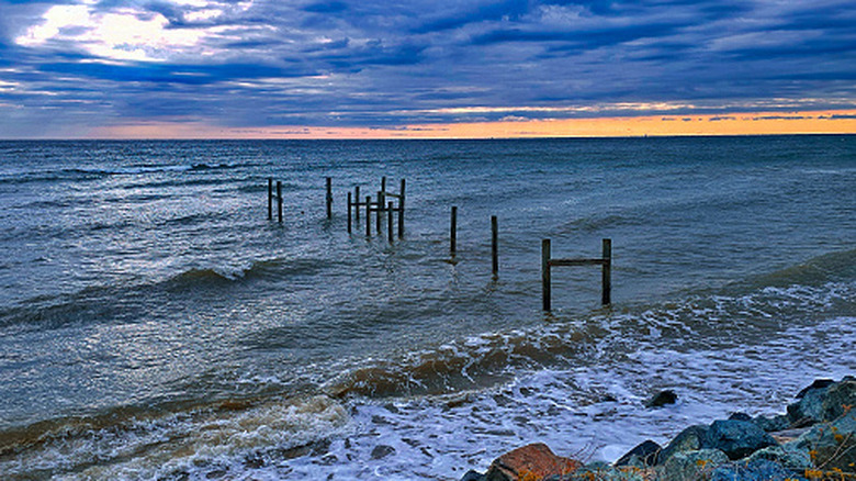A peaceful scene at dawn along the Chesapeake Bay, Maryland