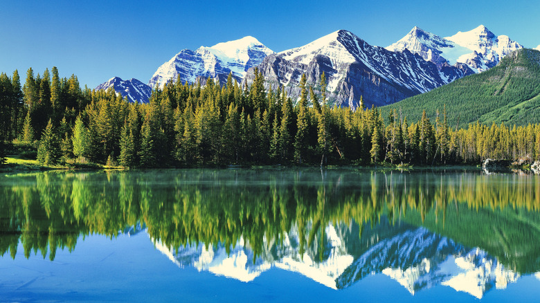 The North American Rocky Mountains against a lake reflection in Banff National Park