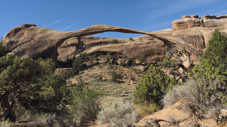 Landscape Arch in Arches National Park
