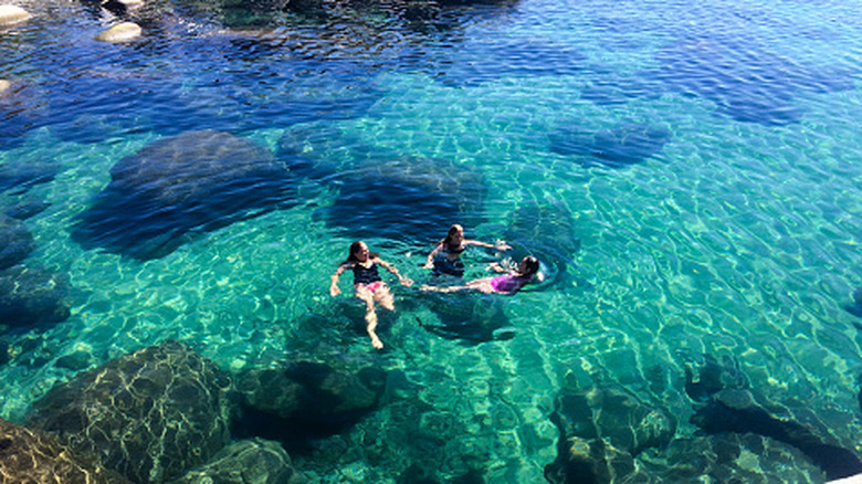Three women swimming in the clear waters of Lake Tahoe