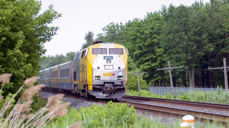 A Via Rail train car cutting through the woods in eastern Canada.