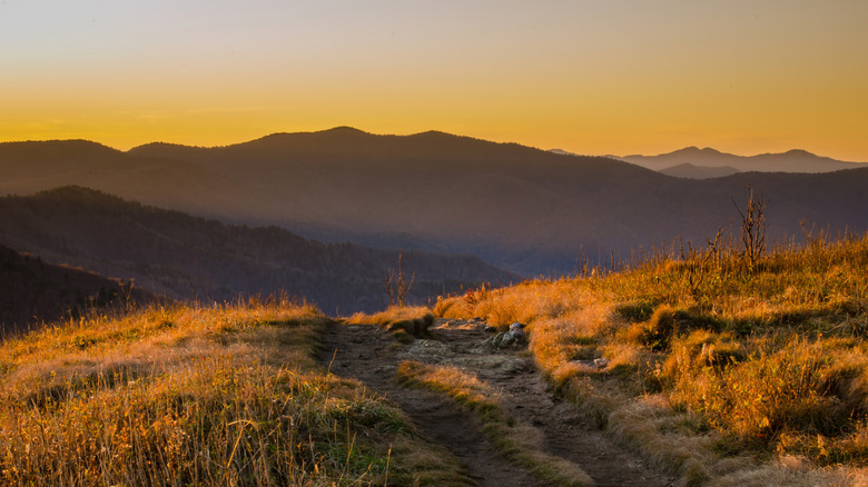 Sunset view over a golden meadow along the Art Loeb Trail in North Carolina