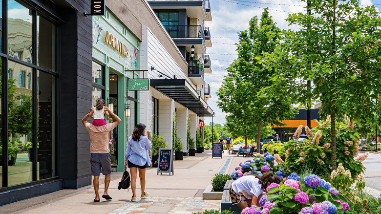 Pretty North Carolina street in spring