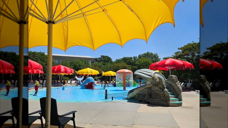 A kiddie pool at Wet n' Wild Emerald Pointe Waterpark