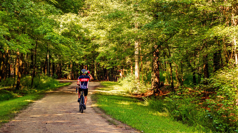 Umstead Park Trails in Raleigh, North Carolina