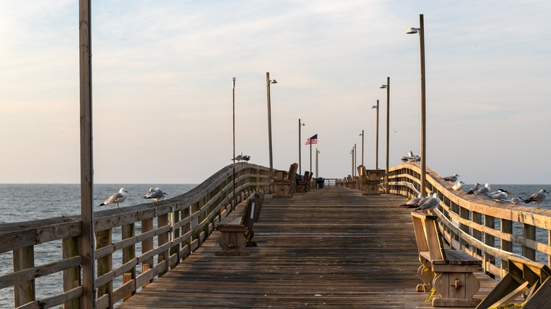 Seagulls perch on the railings of the Oak Island Pier in Oak Island, North Carolina