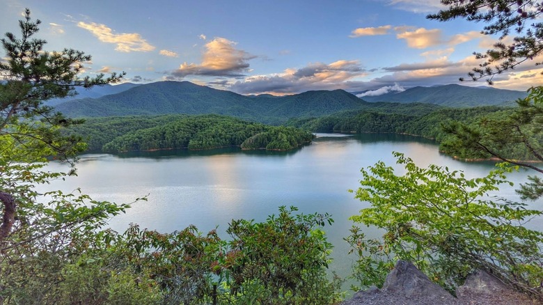 Views of forest and lake in a Nantahala National Forest campground.