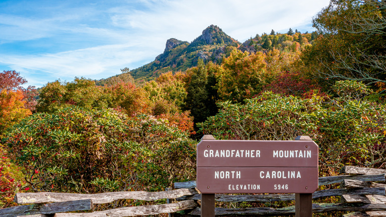 Grandfather Mountain rising above colorful autumn foliage with a wooden sign marking the state park in North Carolina