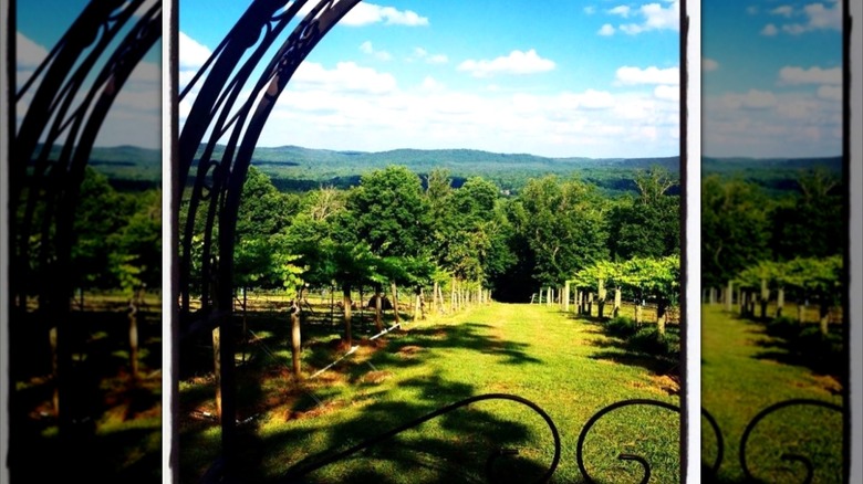 View from the gate of Stony Mountain Vinyards