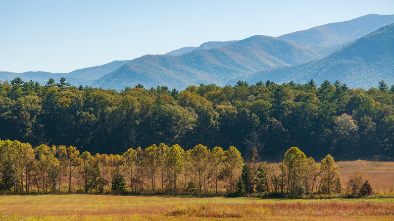 The Great Smoky Mountains National Park in North Carolina