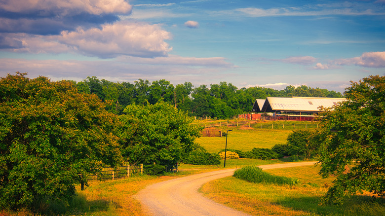 Rural farmland at the bottom of a dirt road